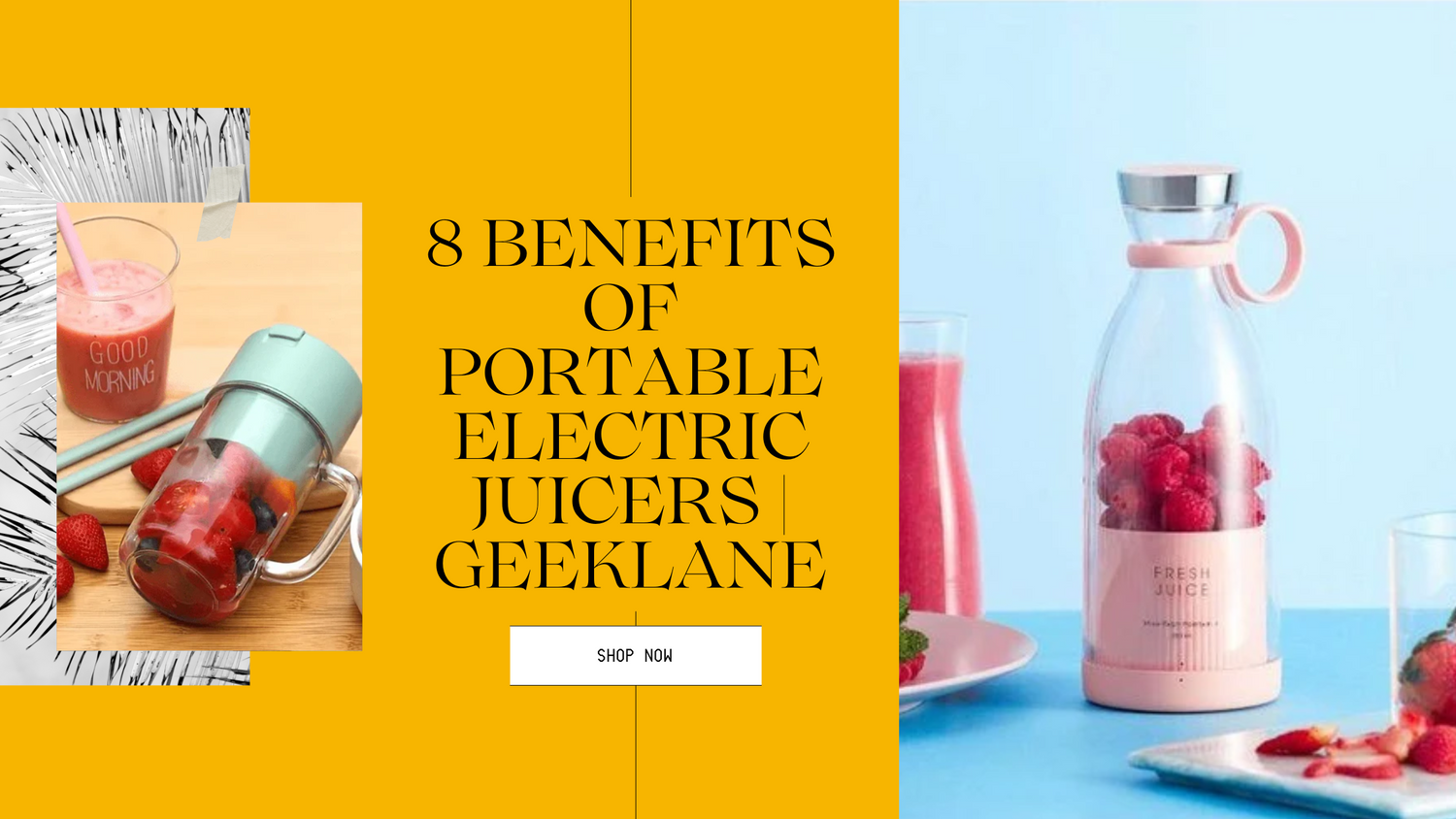 8 benefits of portable Electric Juicers | Geeklane