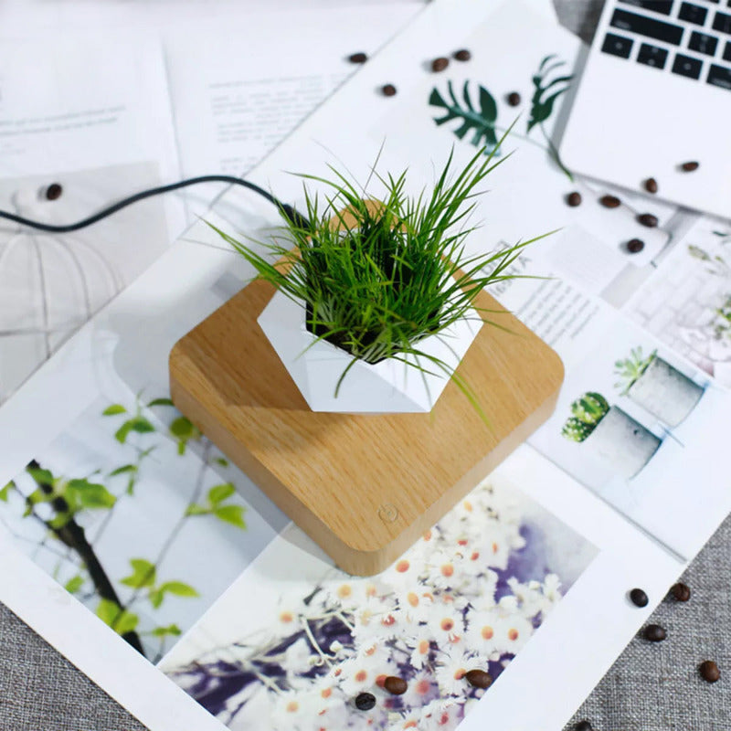 Potzi: Magnetic Levitating Bonsai Planter with Rotating Floating Pot & Wooden Base, Geometric Indoor Decor for Air Plants & Minimalist Homes