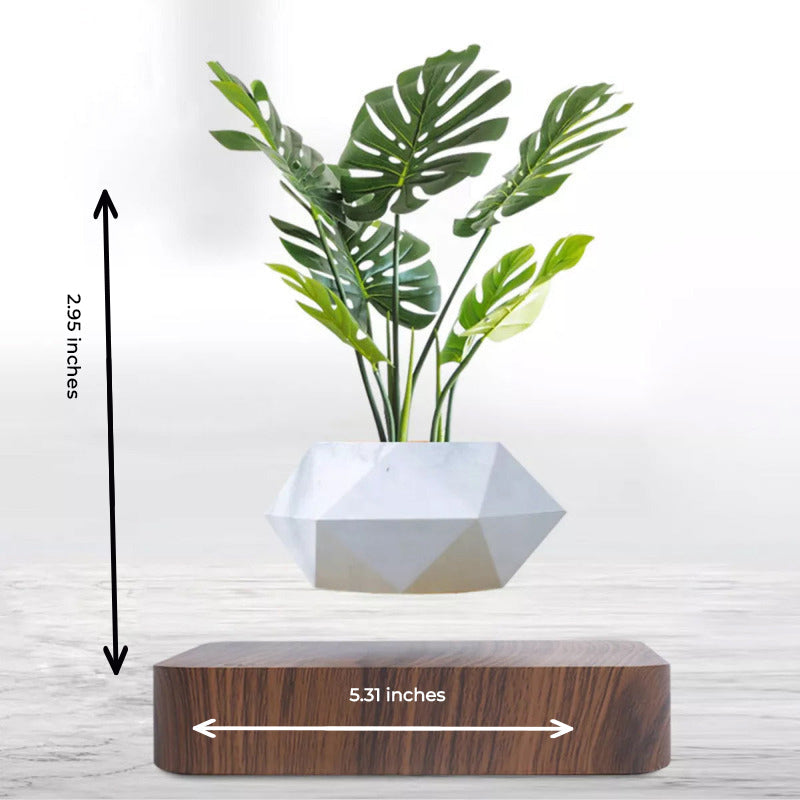 Potzi: Magnetic Levitating Bonsai Planter with Rotating Floating Pot & Wooden Base, Geometric Indoor Decor for Air Plants & Minimalist Homes