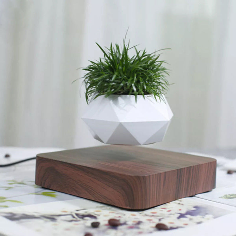 Potzi: Magnetic Levitating Bonsai Planter with Rotating Floating Pot & Wooden Base, Geometric Indoor Decor for Air Plants & Minimalist Homes