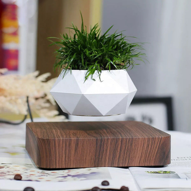 Potzi: Magnetic Levitating Bonsai Planter with Rotating Floating Pot & Wooden Base, Geometric Indoor Decor for Air Plants & Minimalist Homes