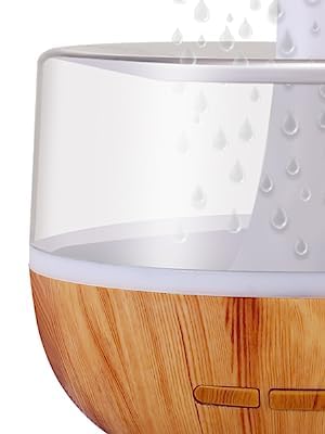 ZenMist: Mindfulness Humidifier