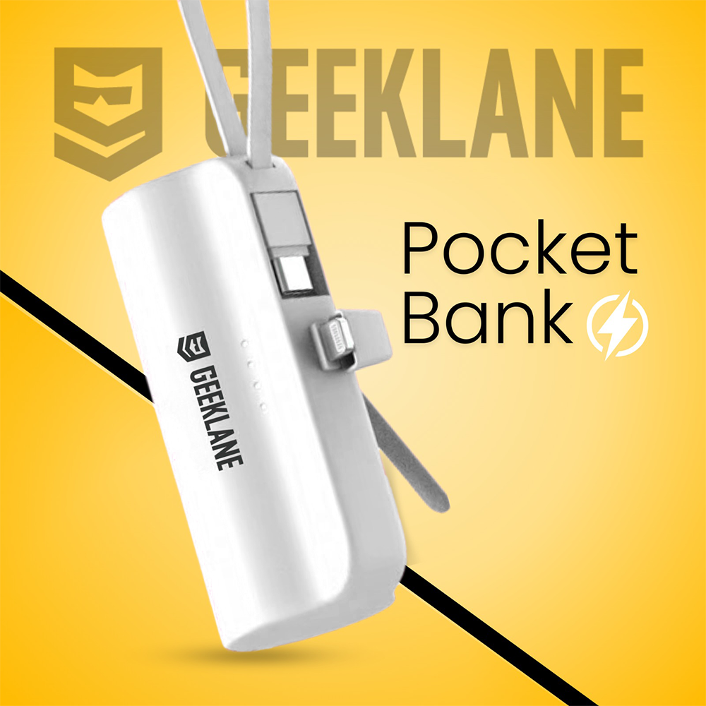 PocketBank: On-the-Go Power