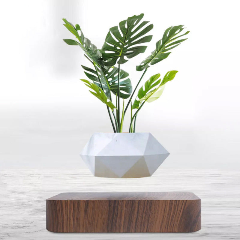GOUJIN × BOTANIZE (K) Potzi: Magnetic Levitating Bonsai Planter with Rotating